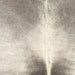 Closeup of this XL Brazilian Cowhide, showing light gray with dark gray down both sides of the spine, and light taupe on the shoulder (BRGR306)