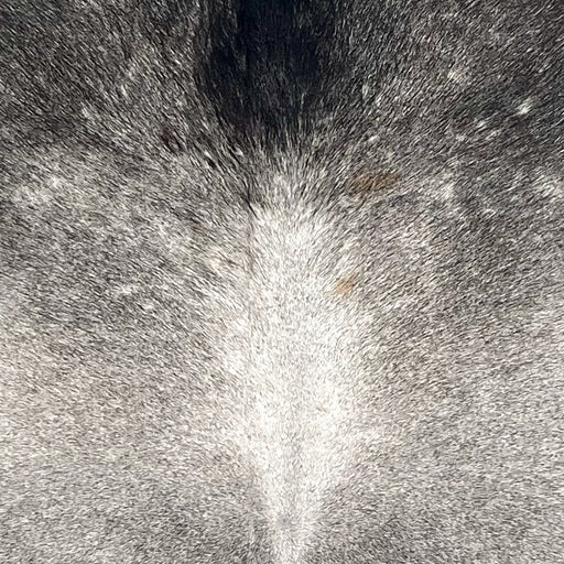 Closeup of this Large Brazilian Cowhide, showing a mix of light and dark gray, with dark gray on the shoulder (BRGR309)