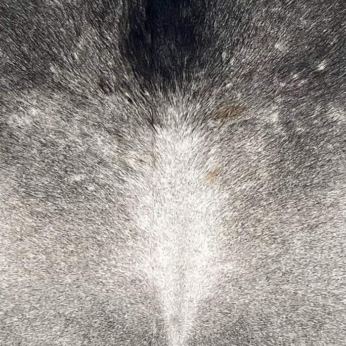 Closeup of this Large Brazilian Cowhide, showing a mix of light and dark gray, with dark gray on the shoulder (BRGR309)
