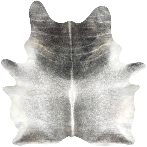 Large Two Tone Gray Brazilian Cowhide: light gray with darker gray on the shoulder and part of the butt and shanks, and white down the spine and on the belly - 7'9" x 6' (BRGR310)