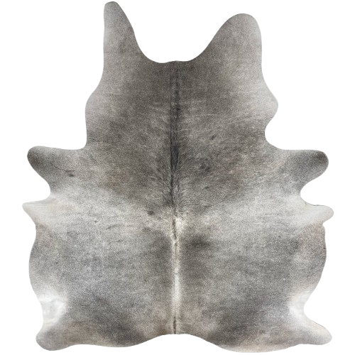 Large Gray Brazilian Cowhide: gray with a lighter strip of gray across the middle and down part of the spine - 7'8" x 5'11" (BRGR312)