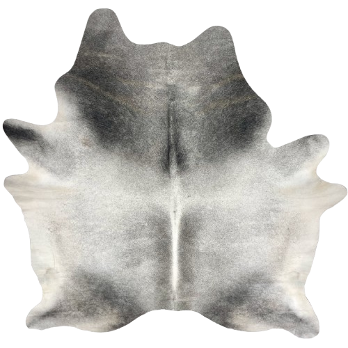 Two Tone Gray Brazilian Cowhide: light gray with darker gray down both side of the spine, on the shoulder and part of the butt, and white on the belly - 7'3" x 6'2" (BRGR313)