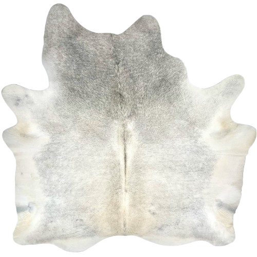 Large Off-White and Gray Brazilian Cowhide: has a mix of off-white and light gray on the back, and mostly gray on the shoulder - 7'5" x 6' (BRGR314)