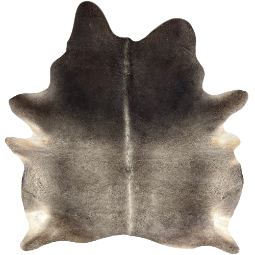 Two Tone Gray Brazilian Cowhide:     medium gray with dark gray on the shoulder, lighter gray down the spine, and longer hair on the belly - 7'1" x 6'1" (BRGR315)