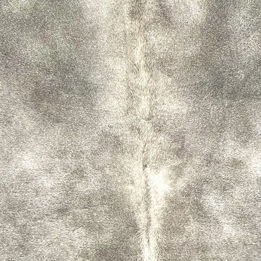 Closeup of this Large Brazilian Cowhide, showing a mix of gray and off-white (BRGR316)