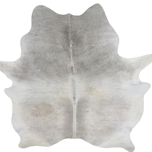 Large Gray and White Brazilian Cowhide:  light gray with darker gray down both sides of the spine and on the shoulder - 7'11" x 6'8"  (BRGR326)