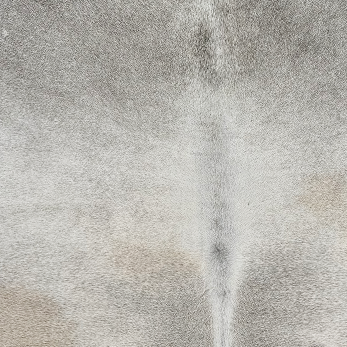 Closeup of this Large Brazilian Cowhide, showing light gray with darker gray down both sides of the spine and on the shoulder  (BRGR326)