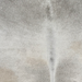 Closeup of this Large Brazilian Cowhide, showing light gray with darker gray down both sides of the spine and on the shoulder  (BRGR326)