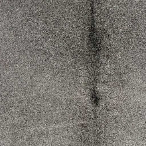 Closeup of this Large Brazilian Cowhide, showing gray with darker gray down part of the spine (BRGR328)
