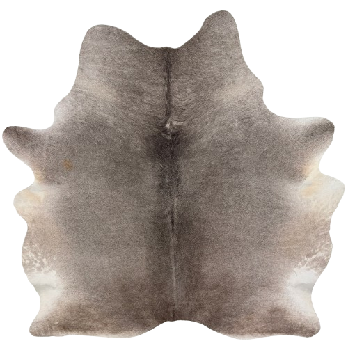 Large Dk Gray Brazilian Cowhide: dark gray with lighter gray and white on the belly, and hints of brown mixed in on the butt - 7'5" x 6'6" (BRGR329)