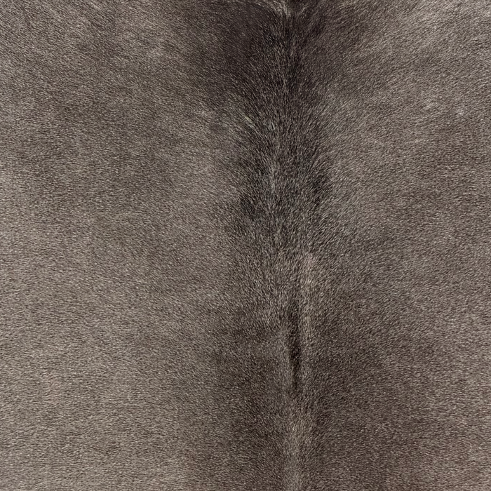 Closeup of this Large Brazilian Cowhide, showing dark gray (BRGR329)