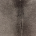 Closeup of this Large Brazilian Cowhide, showing dark gray (BRGR329)