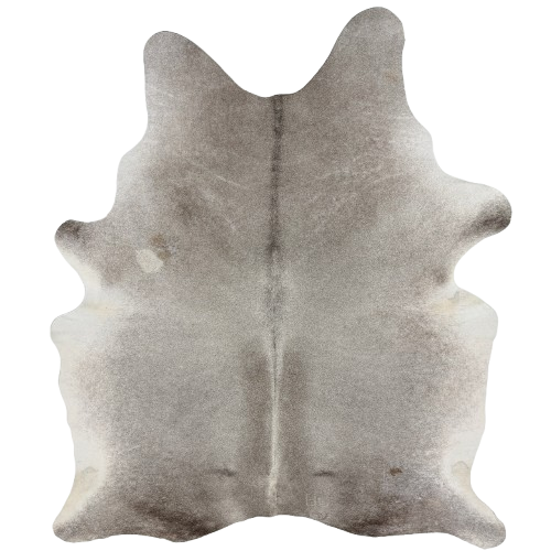 Gray Brazilian Cowhide:  gray with dark gray on part of the the butt and fore shanks - 7'2" x 5'2"  (BRGR330)