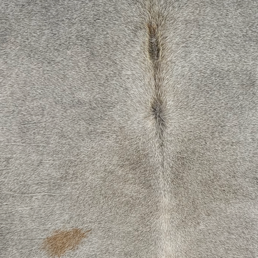Closeup of this Large Brazilian Cowhide, showing gray with one small, brown spot on the left side of the back (BRGR332)
