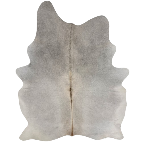 Large Light Gray Brazilian Cowhide:  light gray with dark brown down the spine - 7'8" x 5'5"  (BRGR333)