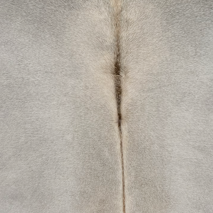 Closeup of this Large Brazilian Cowhide, showing light gray with dark brown down the spine  (BRGR333)
