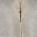 Closeup of this Large Brazilian Cowhide, showing light gray with dark brown down the spine  (BRGR333)