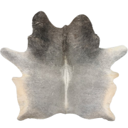 Large Two Tone Gray Brazilian Cowhide:   medium gray with darker gray on the shoulder, white down the spine, and light beige on the belly and part of the hind shanks -  7'9" x 6'3" (BRGR334)