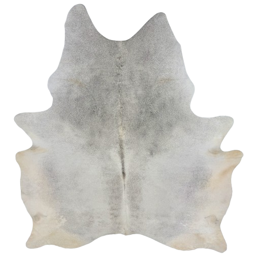 Large Light Gray Brazilian Cowhide: light gray with light beige on the belly, butt, and hind shanks - 7'8" x 6' (BRGR335)