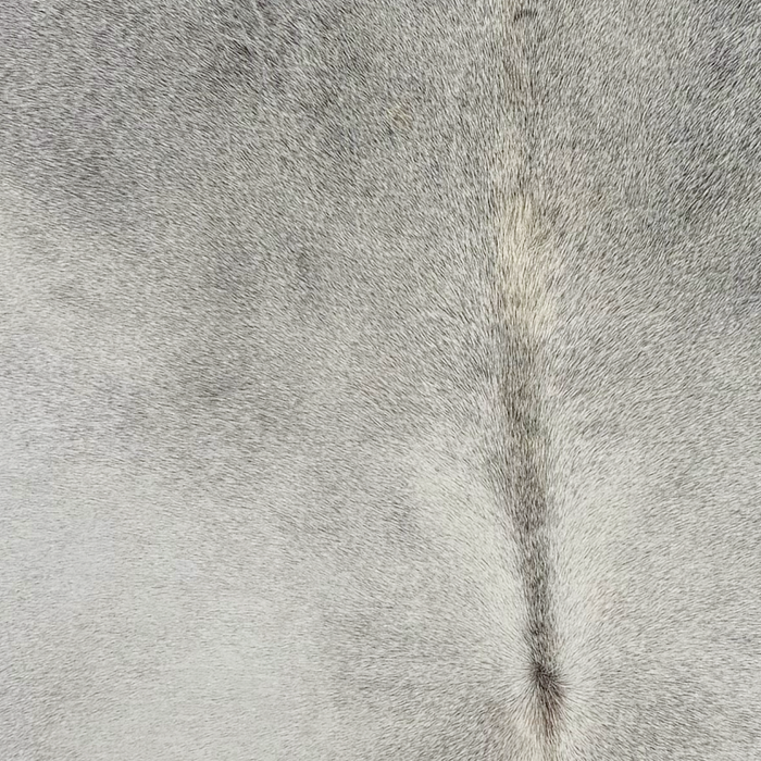Closeup of this Large Brazilian Cowhide, showing light gray (BRGR335)