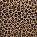 closeup of this Light Brown Brazilian Cowhide, showing a stenciled, brown and black, leopard print - 6'10" x 5'11" (BRLP128)