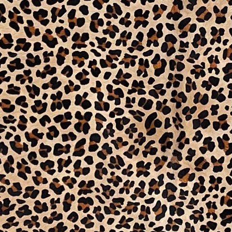 Closeup of this Large Light Beige Brazilian Cowhide, showing a stenciled, brown and black, leopard print (BRLP133)