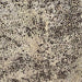 Closeup of this Light Beige, Brazilian Cowhide, showing a  brown and black, Distressed Leopard acid wash & a Metallic, Gold Acid Wash (BRLPAW080)