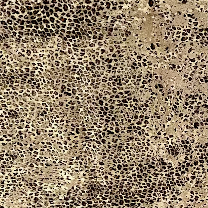 Closeup of this Large, Beige, Brazilian Cowhide, showing a brown and black, Distressed Leopard acid wash & Metallic, Gold Acid Wash (BRLPAW081)