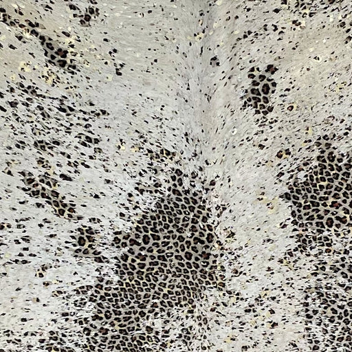 Closeup of this Lt Beige, Brazilian Cowhide, showing a brown and black, Leopard print & Gold Metallic Acid Wash (BRLPAW095)