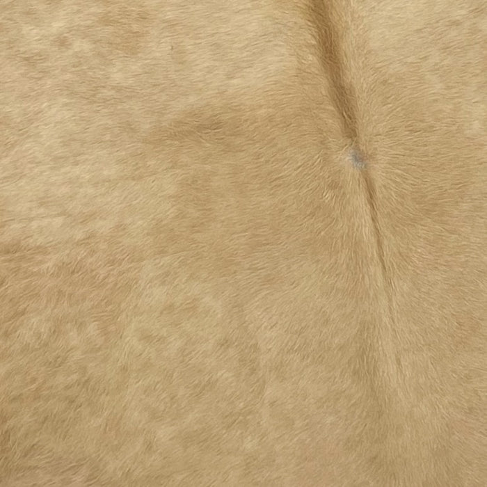  Closeup of this XL, Brazilian, Palomino Cowhide, showing solid light brown (BRPL232)