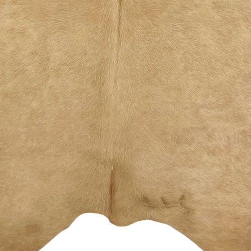 Closeup of this XL Brazilian Palomino Cowhide, showing solid light brown, with on brand mark on the right side of the butt (BRPL232)