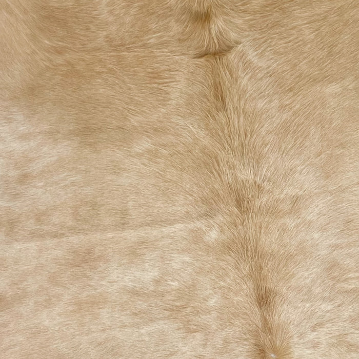 Closeup of this Brazilian Palomino Cowhide, showing solid light brown (BRPL235)