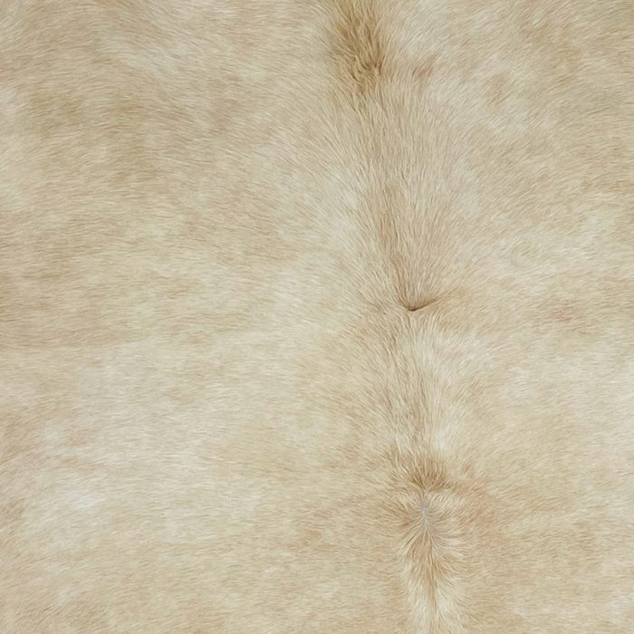 Closeup of this Large, Brazilian, Palomino Cowhide, showing solid light tan (BRPL236)