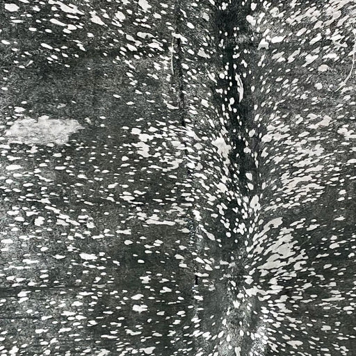 Closeup of this XXL Dark Gray Dyed, Brazilian Cowhide, showing a metallic, Silver Acid Wash (BRSLDAW510)