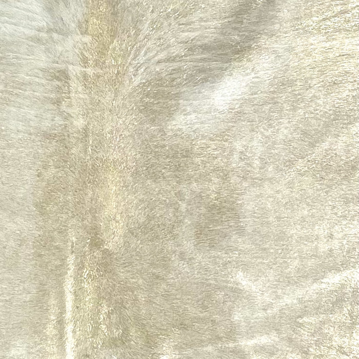 Closeup of this Large, Off-White, Brazilian Cowhide, showing a gold, metallic spray (BRSLS241)