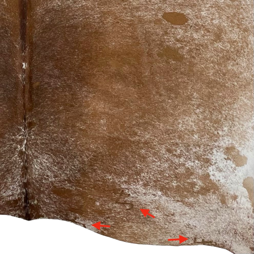Large Brown and White Speckled Brazilian Cowhide, showing three brand marks, on the right side, along the lower edge (BRSP1858)