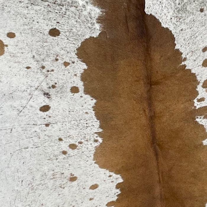 Closeup of this Large, White and Brown, Speckled, Brazilian Cowhide, showing white with brown speckles and spots, brown down the middle (BRSP1862)