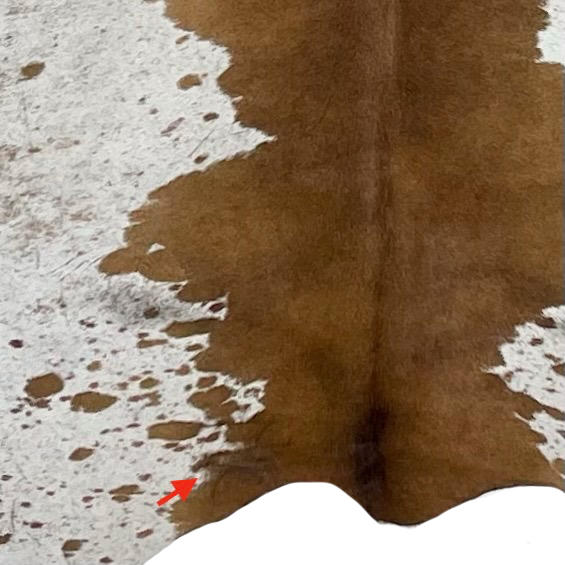 Large White and Brown Speckled Brazilian Cowhide, showing one brand mark on the left side, along the lower edge (BRSP1862)