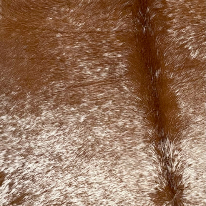Closeup of this Large, Brown and White, Speckled, Brazilian Cowhide, showing white with brown speckles and spots on the back, and brown with white speckles on the shoulder (BRSP1885)
