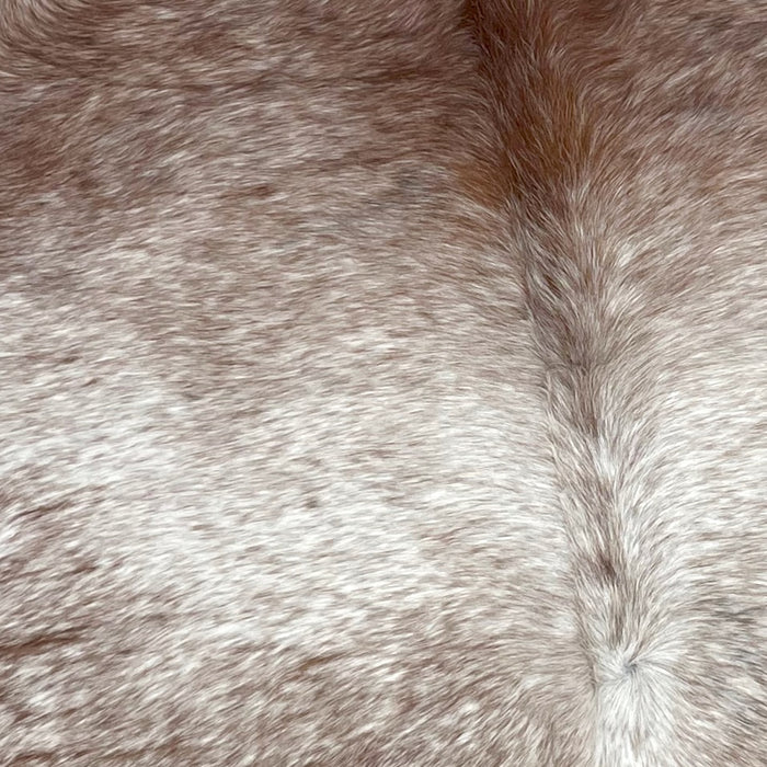 Closeup of this Large, Reddish Brown and White, Speckled, Brazilian Cowhide, showing white with reddish brown speckles (BRSP1917)