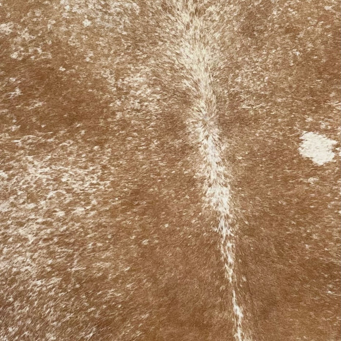 Closeup of this Large, Brown and White, Speckled, Brazilian Cowhide, showing brown with white speckles (BRSP1919)