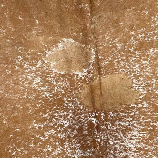 Closeup of this XL, Brown and White, Speckled, Brazilian Cowhide, showing brown with a few white speckles on the sides and shoulder, and white with brown speckles and spots on the back (BRSP1926)