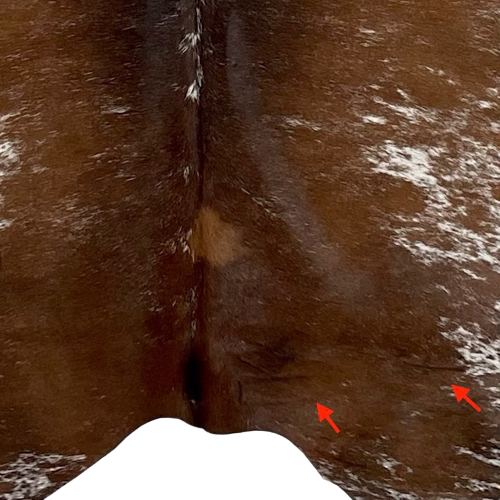 Brown and White Speckled Brazilian Cowhide, showing two brand marks near the lower edge, on the right side (BRSP1978)