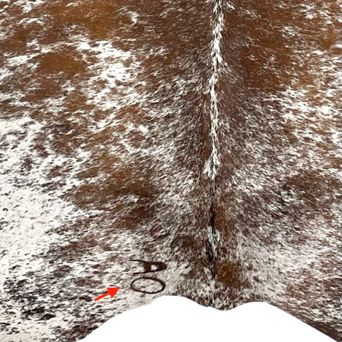 Large Brown and White Speckled Brazilian Cowhide, showing one brand mark on the left side, near the lower edge (BRSP1980)