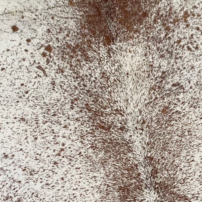 Closeup of this XL, Off-White and Brown, Speckled, Brazilian Cowhide, showing off-white with brown speckles (BRSP1981)