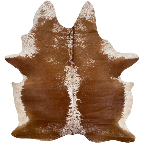 Large Reddish Brown and White Speckled Brazilian Cowhide, 2 brand marks:  mostly solid reddish brown, with white speckles in the middle, on the shoulder, and on the butt, white with brown speckles down the middle, on the belly, and along the edge of the shoulder and neck, and it has one brand mark along the spine on the left side, and another along the lower edge, on the right side - 7'7" x 5'8" (BRSP1983)