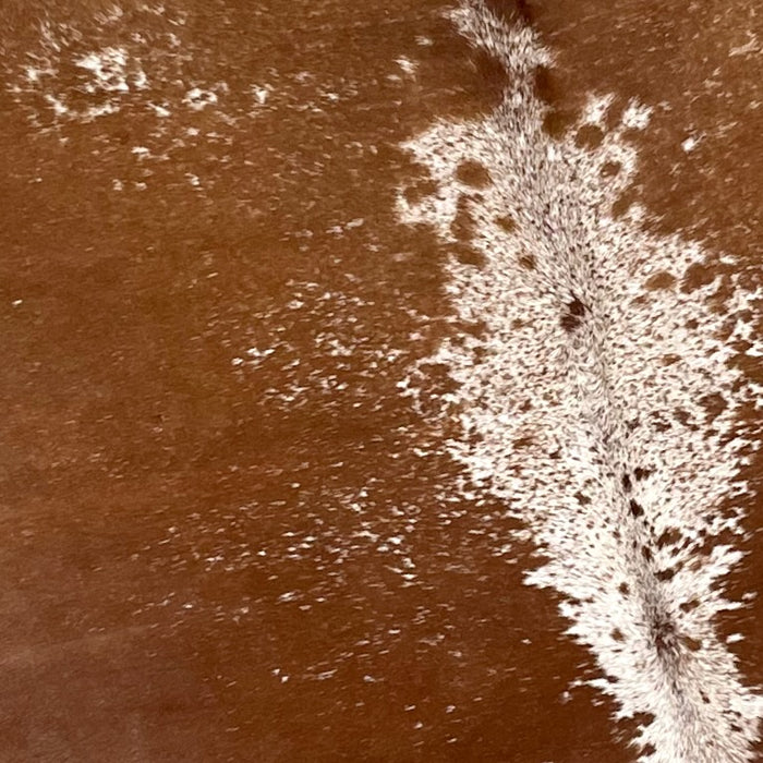 Closeup of this Large, Reddish Brown and White, Speckled, Brazilian Cowhide, showing mostly solid reddish brown, with white speckles in the middle and on the shoulder, and white with brown speckles down the middle (BRSP1983)