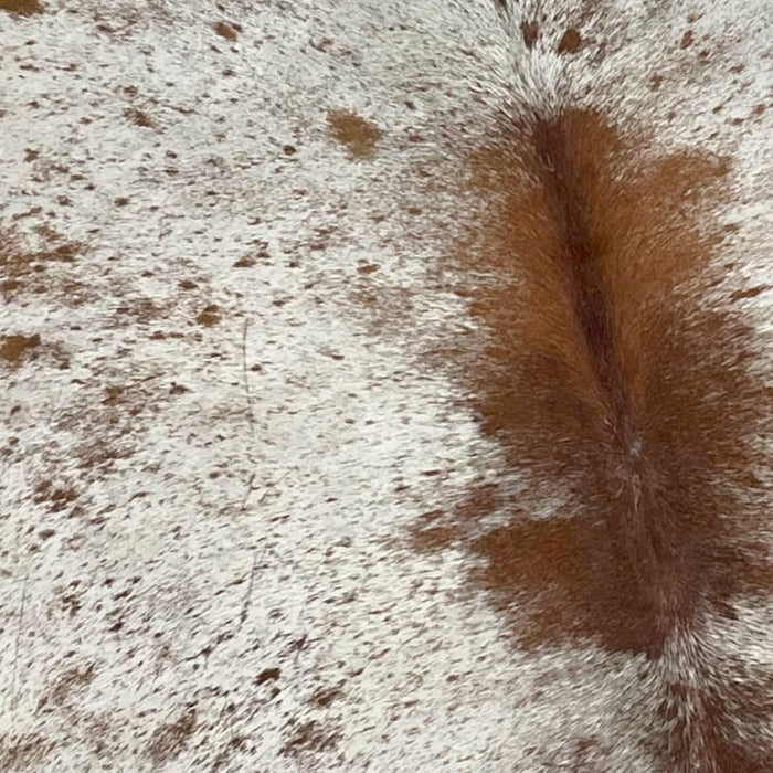 Closeup of this Large, White and Brown, Speckled, Brazilian Cowhide, showing white with brown speckles and spots (BRSP1988) 