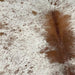 Closeup of this Large, White and Brown, Speckled, Brazilian Cowhide, showing white with brown speckles and spots (BRSP1988) 
