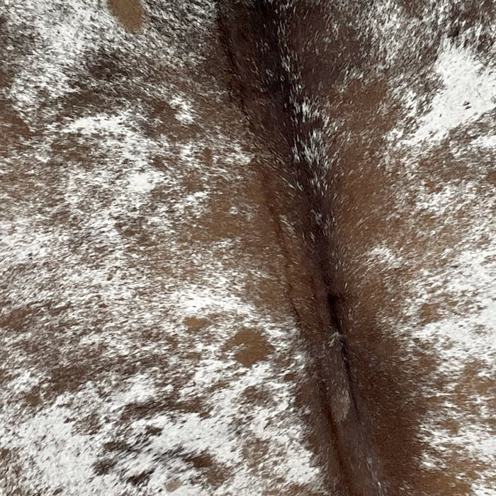 Closeup of this XL, Brown and White, Speckled, Brazilian Cowhide, showing white with brown speckles and spots, and brown with white speckles down the spine (BRSP1995)